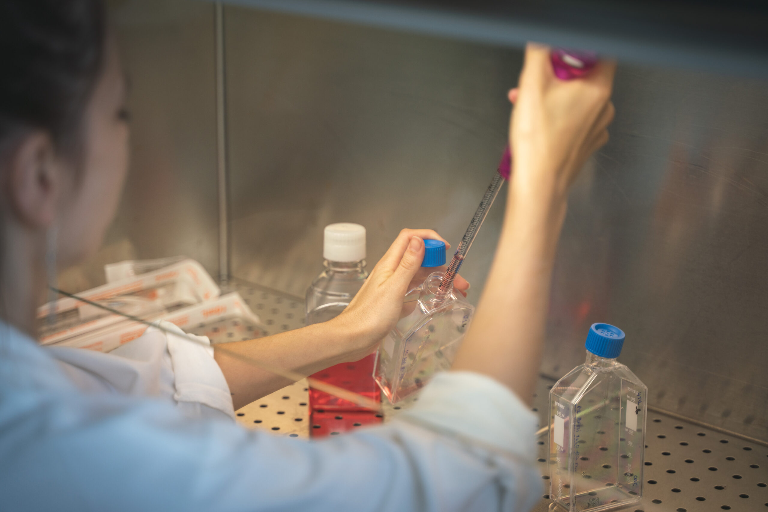 FOCUS 4R Project – Biomedical Research & Innovation in Europe's Outermost Regions a7r00535